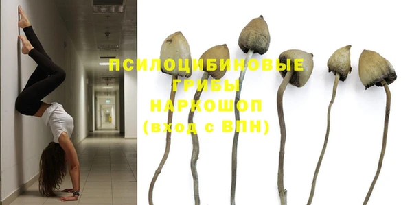 трава Нефтекумск