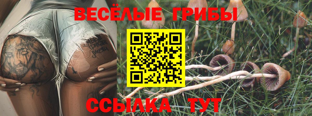 Майкоп  Галлюциногенные грибы ЛСД  Вход с VPN 
