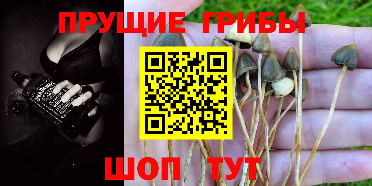 Галлюциногенные грибы мухоморы Майкоп