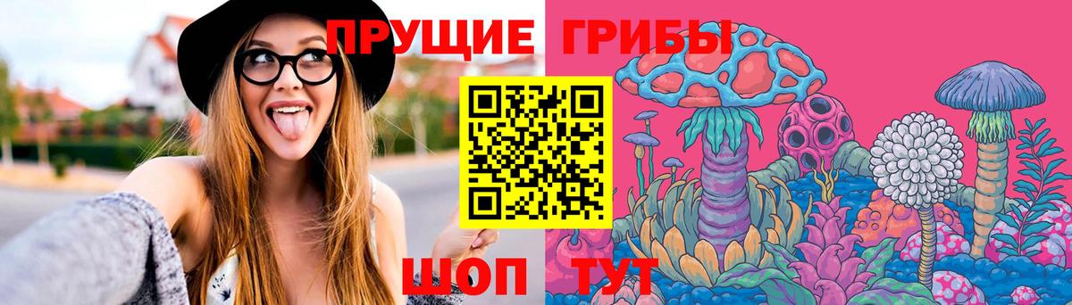 Псилоцибиновые грибы ЛСД  Майкоп  Галлюциногенные грибы GOLDEN TEACHER 